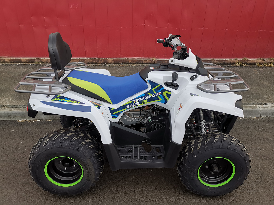 Квадроцикл PROMAX RENEGADE 280 LUX (2025) в Мытищах