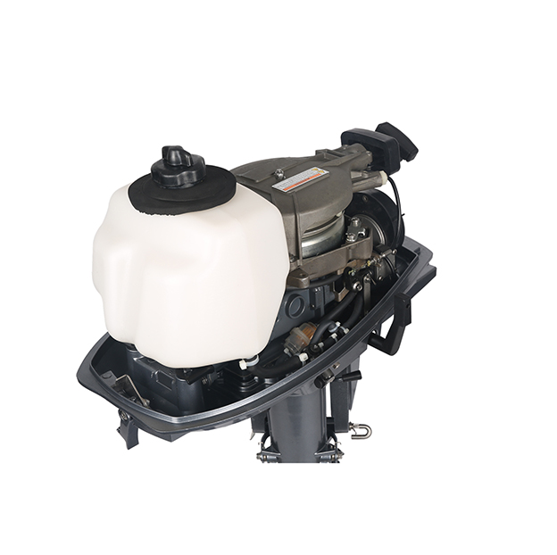 ЛОДОЧНЫЙ МОТОР ALLFA CG T5 в Мытищах