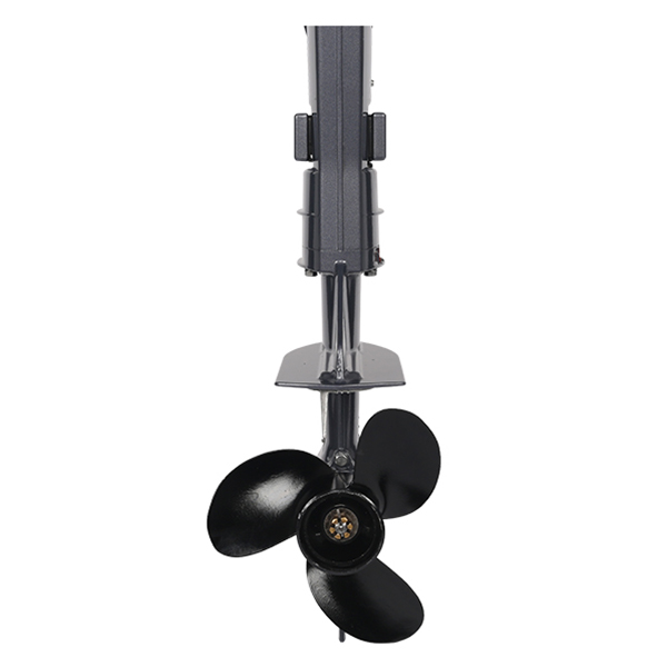 ЛОДОЧНЫЙ МОТОР ALLFA CG T5 в Мытищах