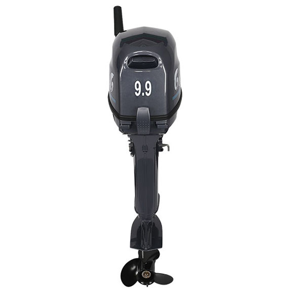 Лодочный мотор ALLFA CG Т9.9(20)MAX в Мытищах