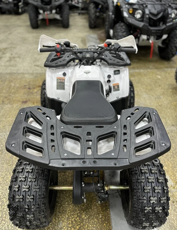 Квадроцикл PROMAX WILD 2.0 190 в Мытищах