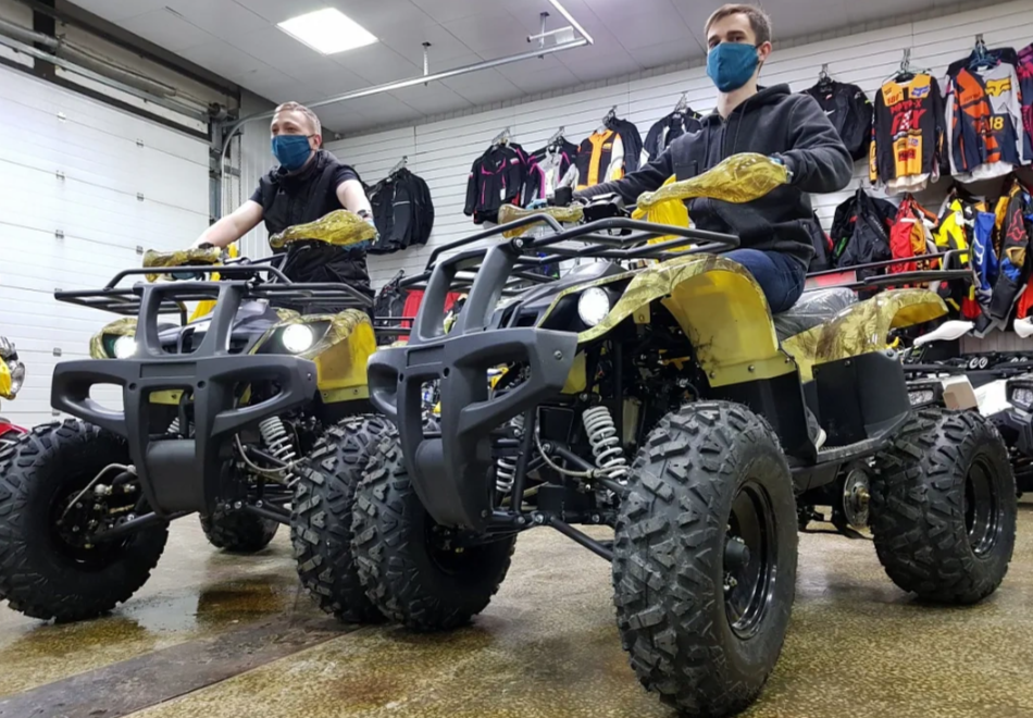 Квадроцикл PROMAX ATV 250 (2025) в Мытищах