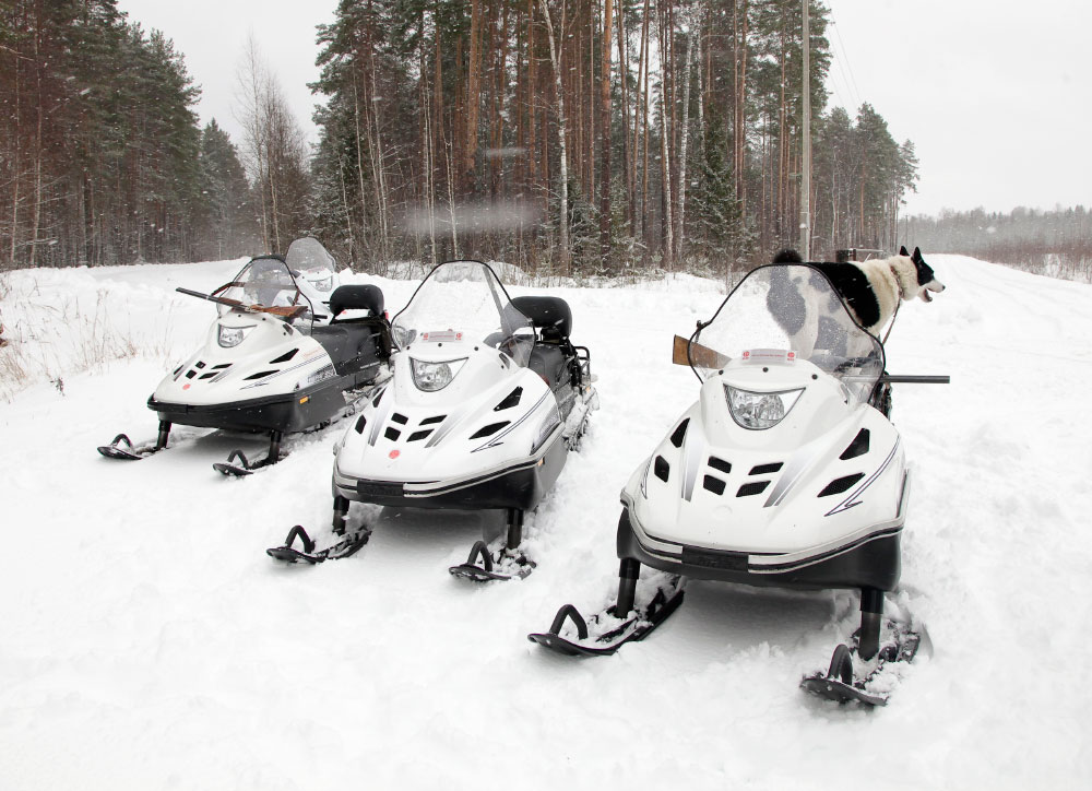 СНЕГОХОД РМ ТАЙГА ВАРЯГ 550 V в Мытищах