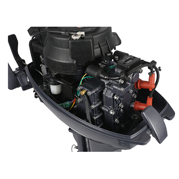 ЛОДОЧНЫЙ МОТОР ALLFA CG Т9,9 в Мытищах