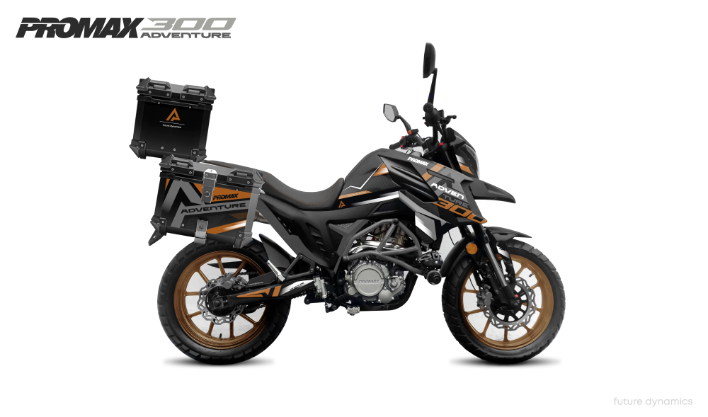 Мотоцикл PROMAX ADVENTURE 300 PRO EFI (NB300) в Мытищах