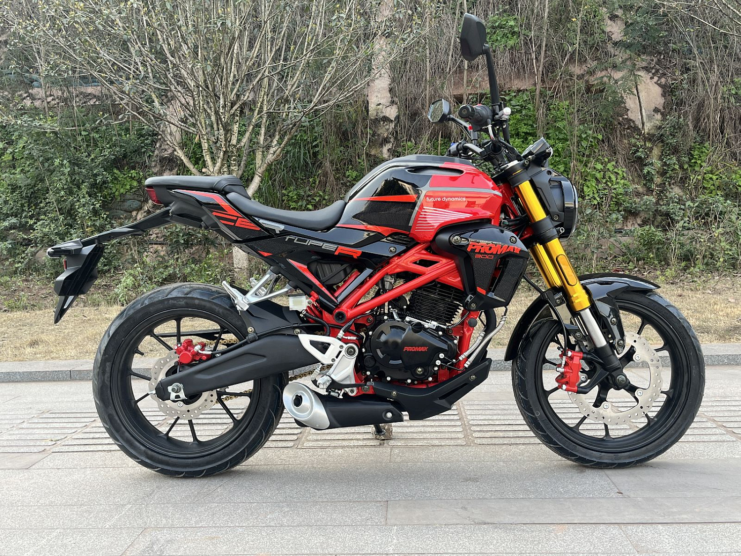 Мотоцикл PROMAX CB300 в Мытищах