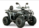 Квадроцикл YACOTA DRAGON LUX LD 150 PRO-SPORT в Мытищах