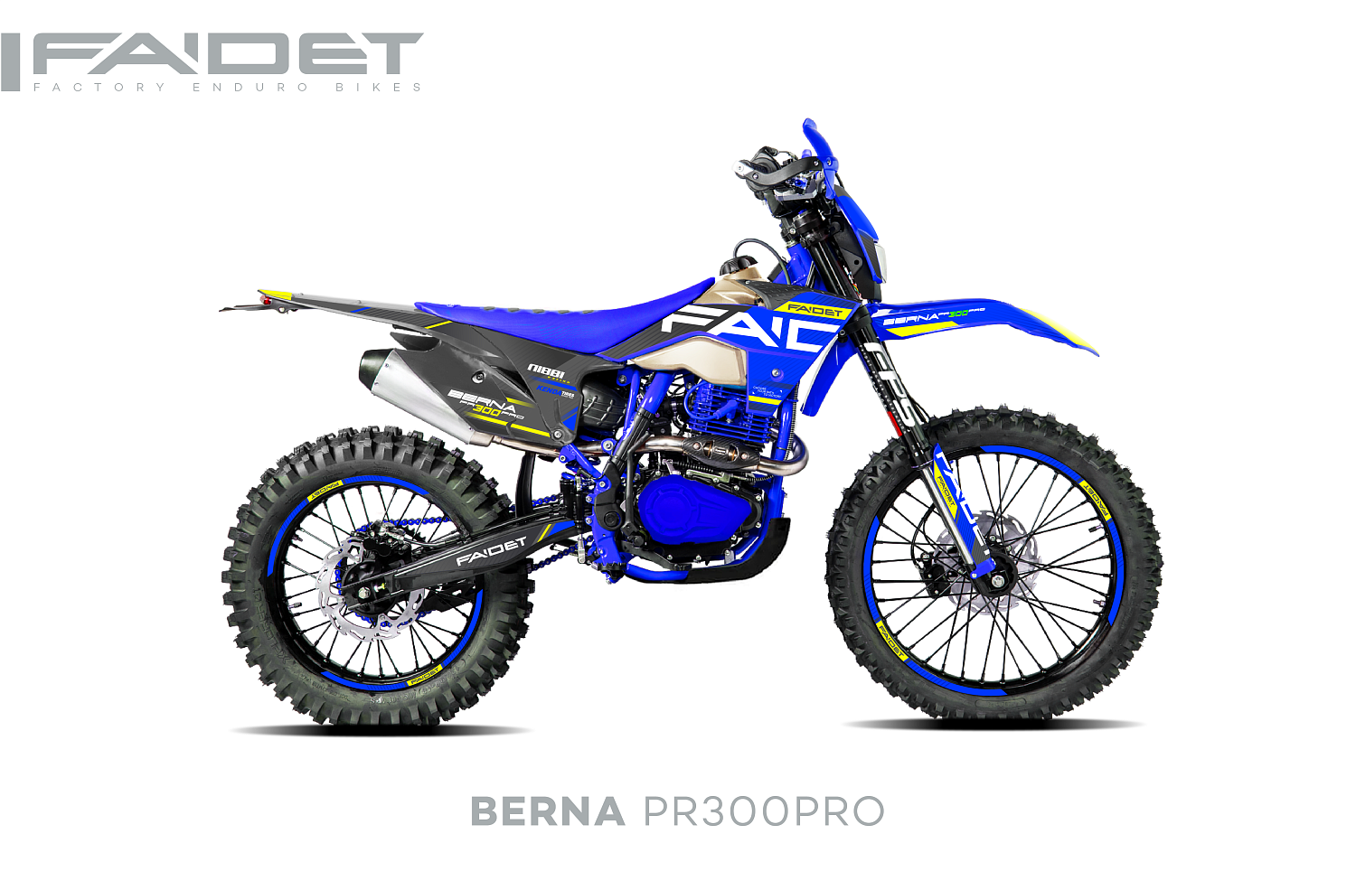 Кроссовый мотоцикл FAIDET BERNA PR300-PRO FPS в Мытищах