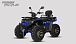 Квадроцикл PROMAX TAURUS 300 MAX-PRO LONG в Мытищах