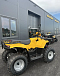 КВАДРОЦИКЛ IRBIS ATV 250  в Мытищах