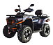 Квадроцикл MOTOLAND (МОТОЛЕНД) 300 MAX X в Мытищах