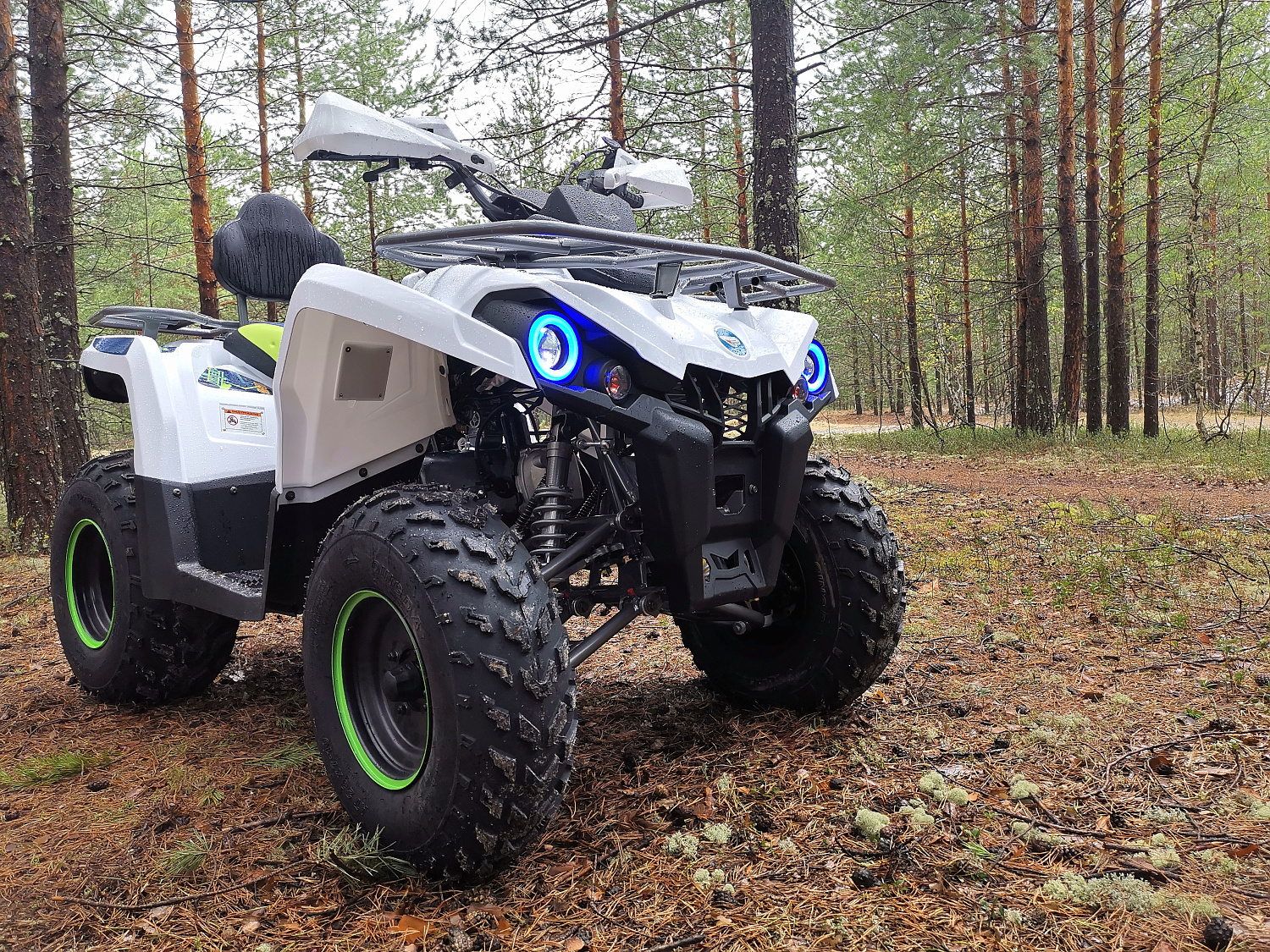 Квадроцикл PROMAX RENEGADE 280 (2025) в Мытищах