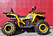 Квадроцикл PROMAX STORM 280 LUX в Мытищах