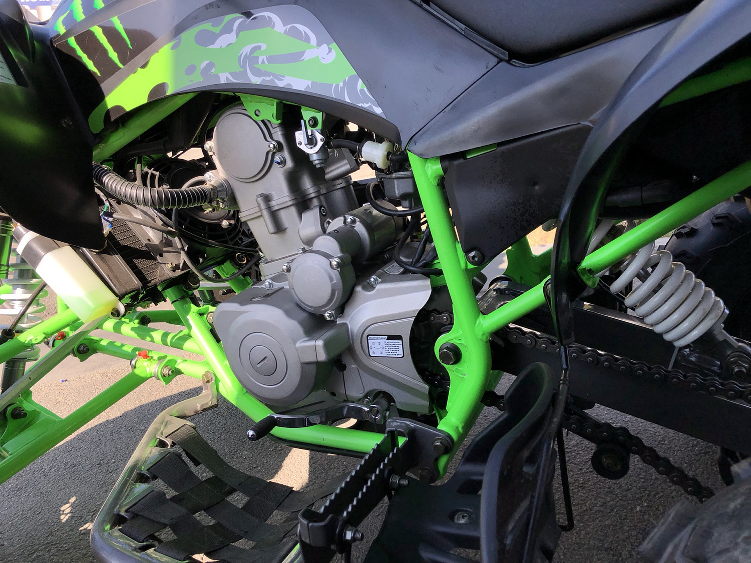 Квадроцикл PROMAX RAPTOR 300 NEW Monster в Мытищах