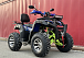  Квадроцикл PROMAX ATV 250 MAX (2025) в Мытищах