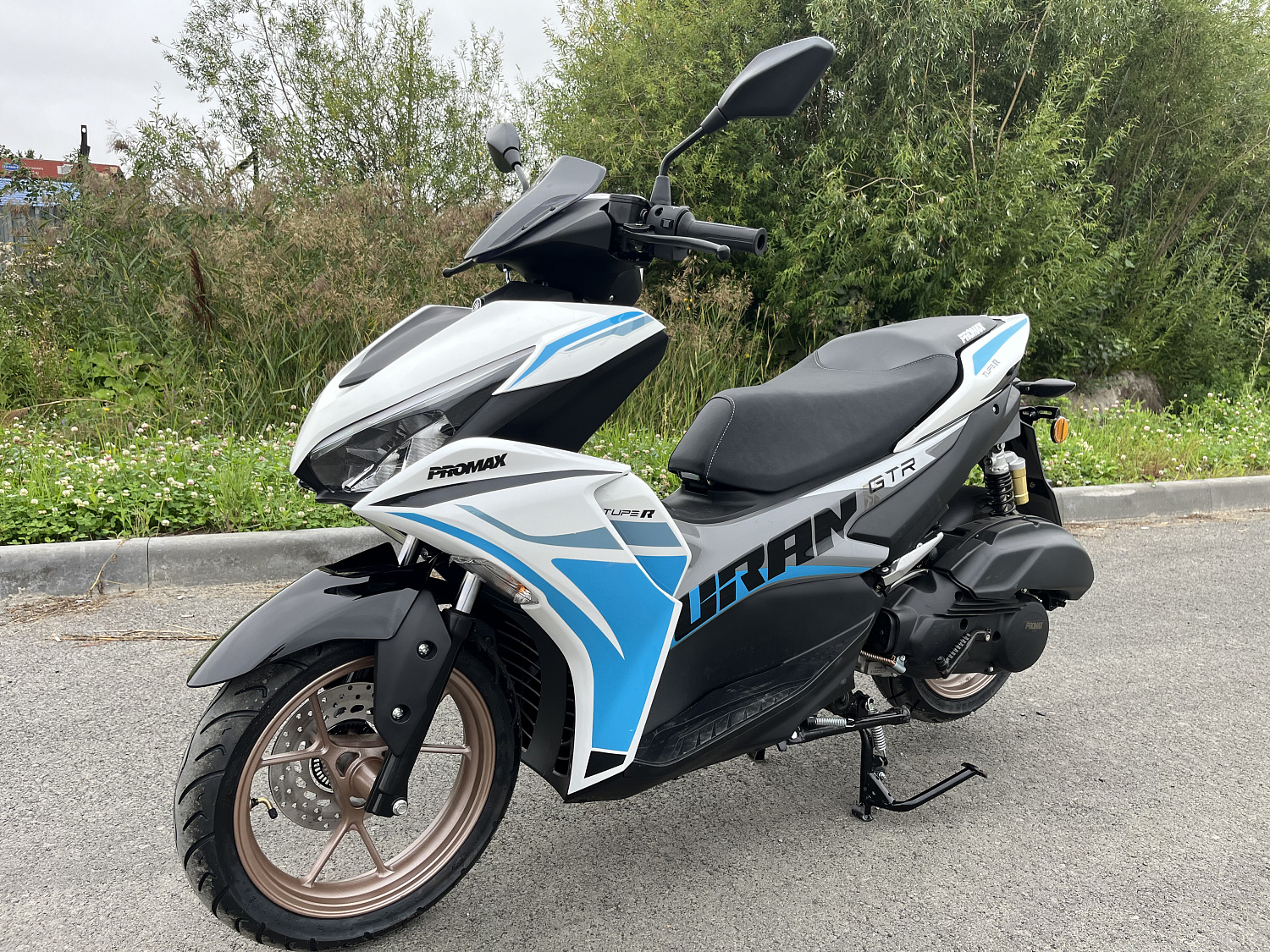 Скутер PROMAX TURAN 250 (49) в Мытищах