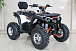 Квадроцикл GBM STORMRIDER 220 PREMIUM в Мытищах