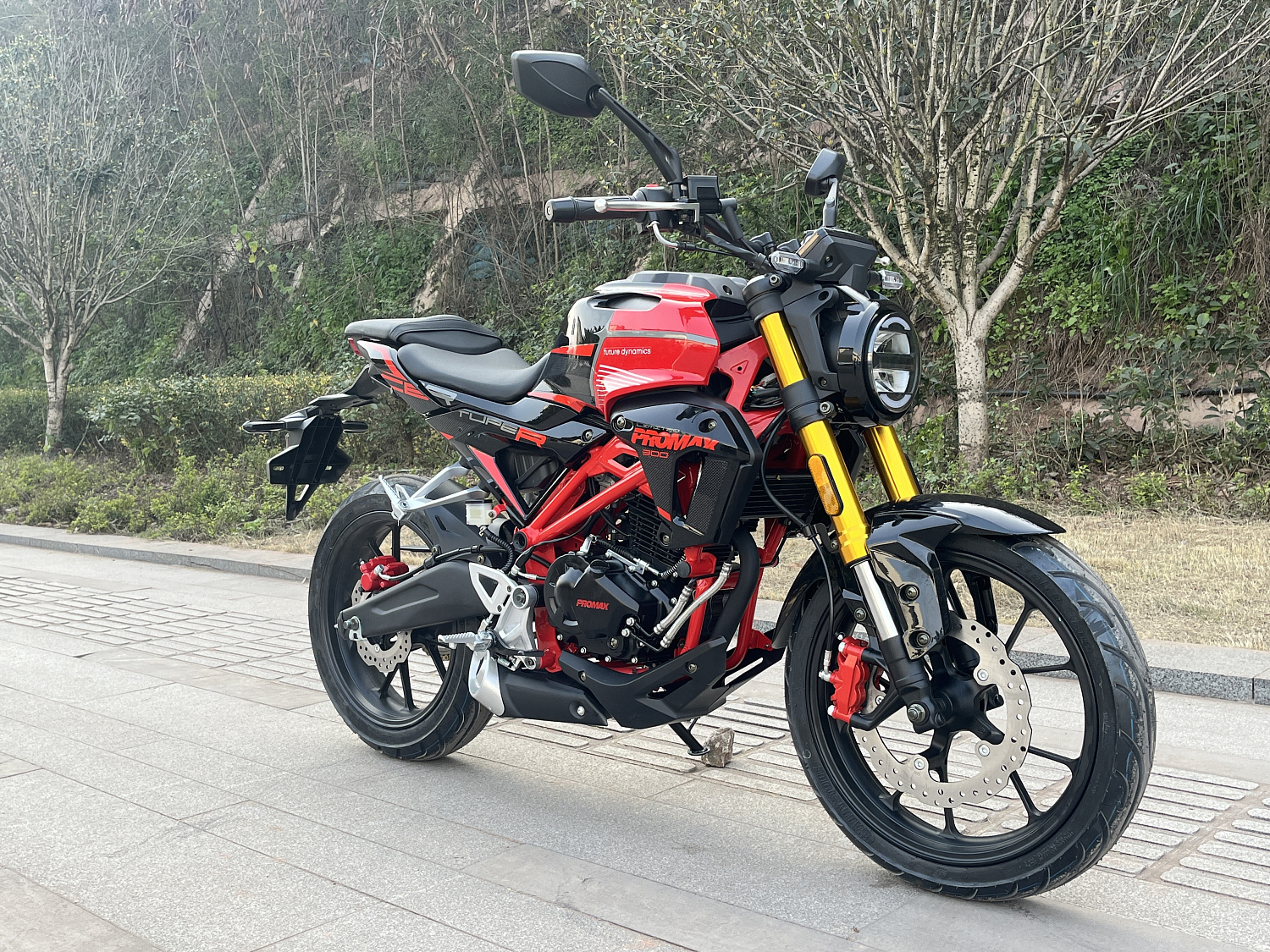 Мотоцикл PROMAX CB300 в Мытищах