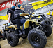 Квадроцикл PROMAX ATV 250 (2025) в Мытищах