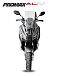 МаксиСкутер PROMAX-HONDA ADV 150 (49) (Inspired by HONDA) в Мытищах