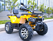 Квадроцикл MOTOLAND (МОТОЛЕНД) VOX200 WILD TRACK X PRO (баланс. вал) в Мытищах