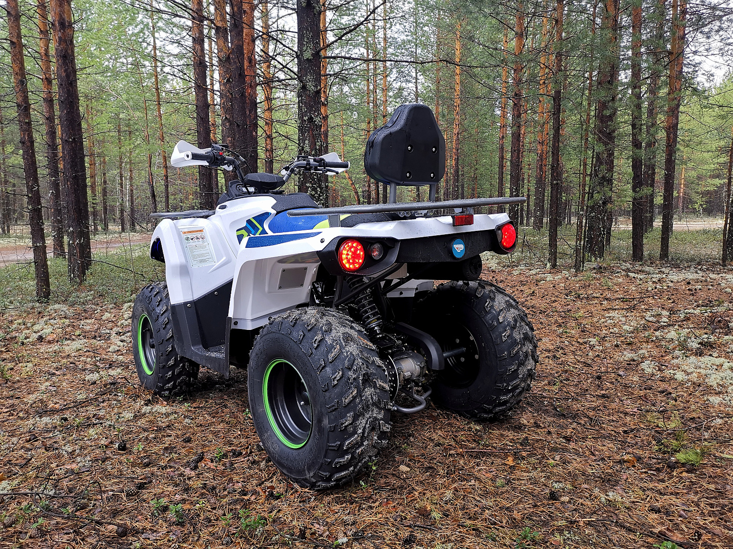 Квадроцикл PROMAX RENEGADE 280 (2025) в Мытищах