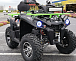 Квадроцикл PROMAX RENEGADE 280 WINCH PRO (2025) в Мытищах