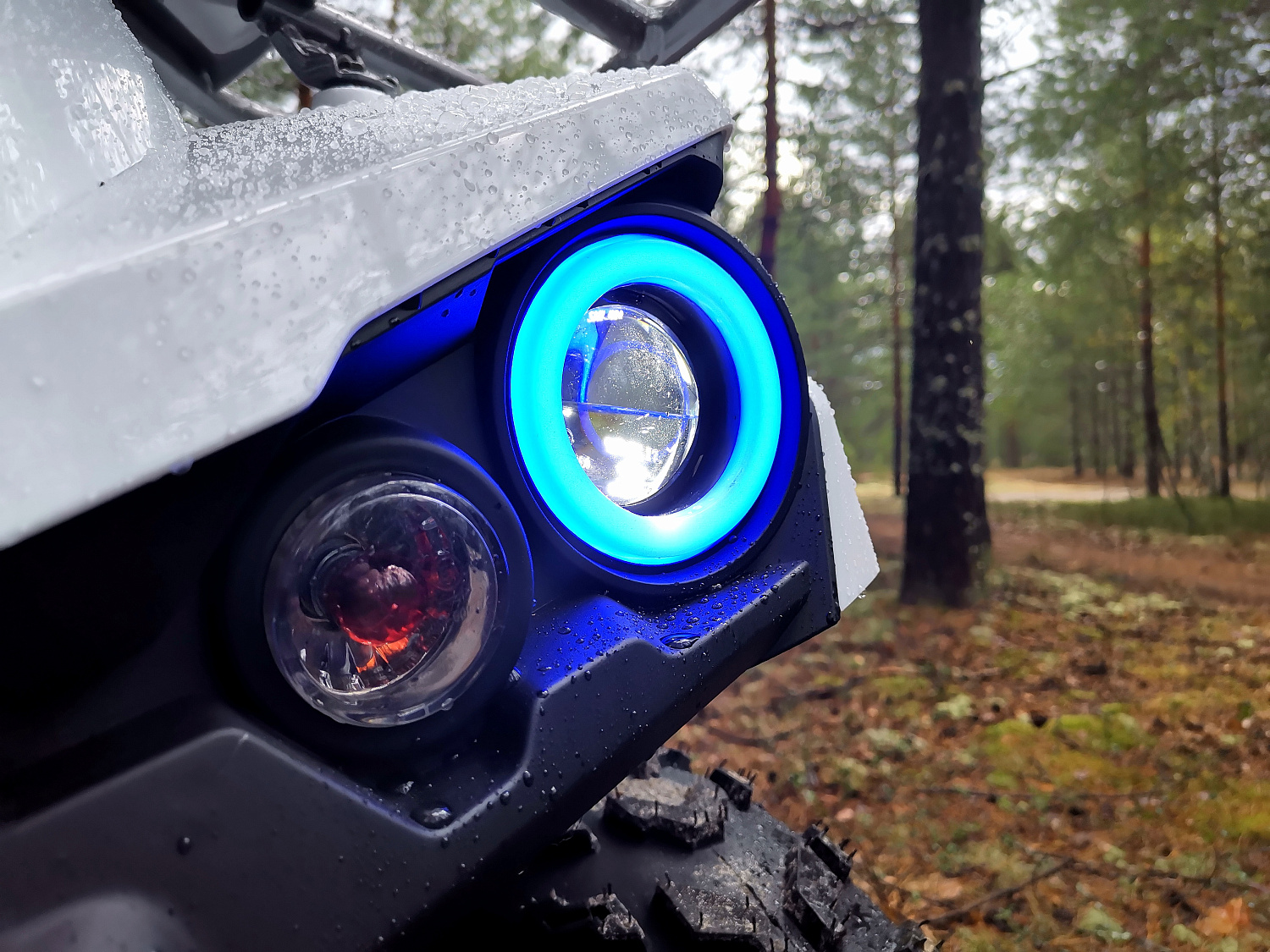 Квадроцикл PROMAX RENEGADE 280 (2025) в Мытищах