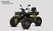 Квадроцикл PROMAX TAURUS 300 MAX-PRO LONG в Мытищах